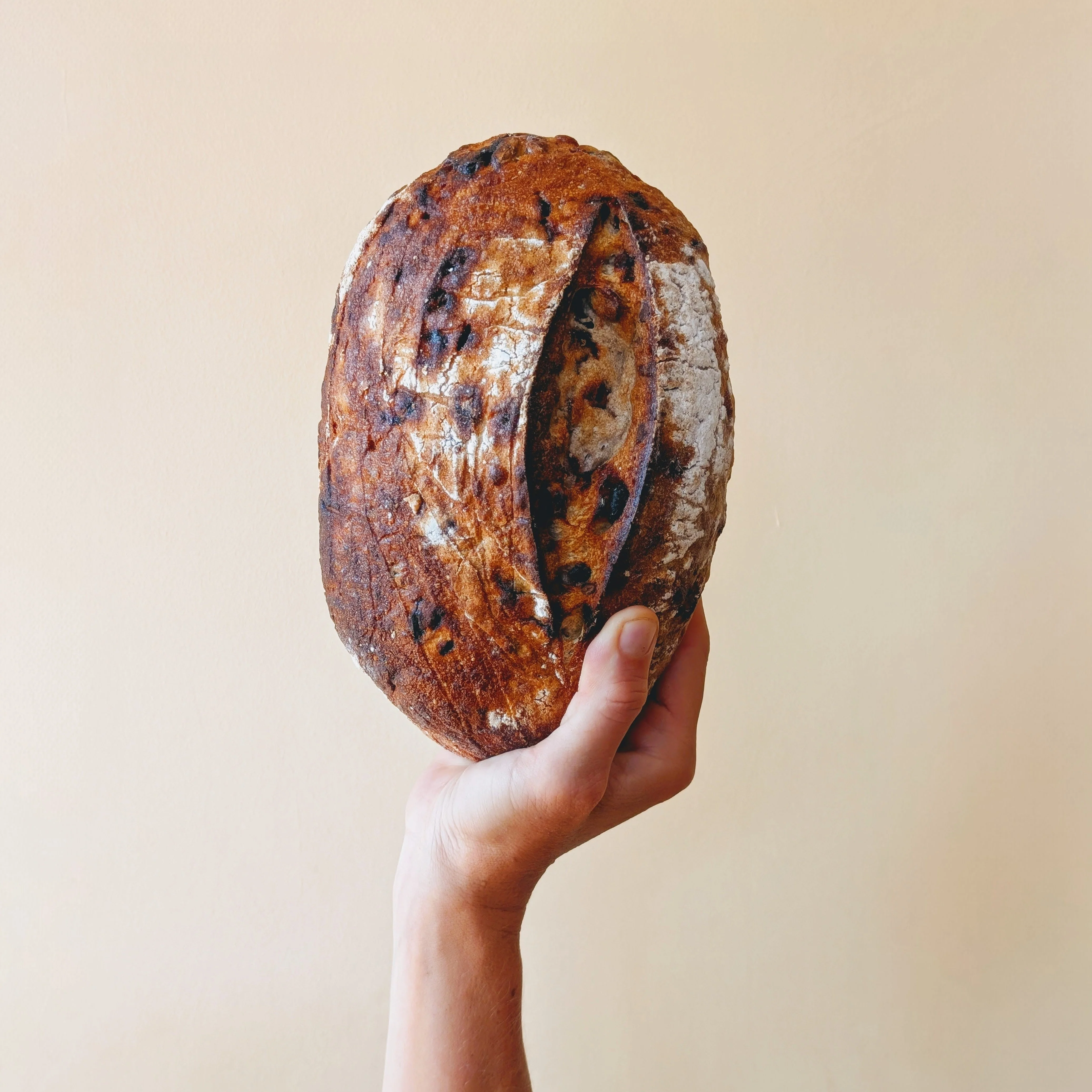 Gluten-Free Sourdough Cranberry-Pecan Loaf