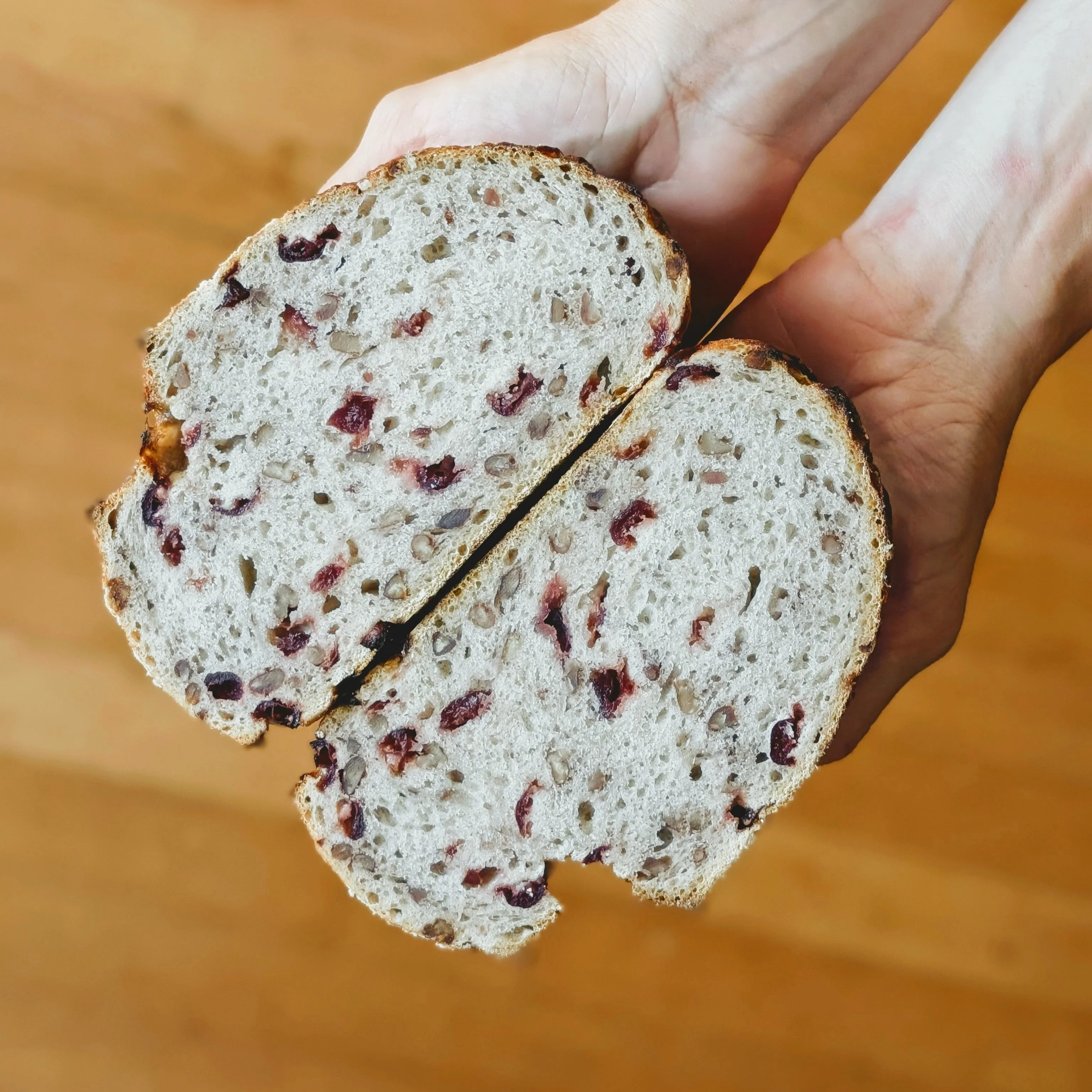 Gluten-Free Sourdough Cranberry-Pecan Loaf - Image 4