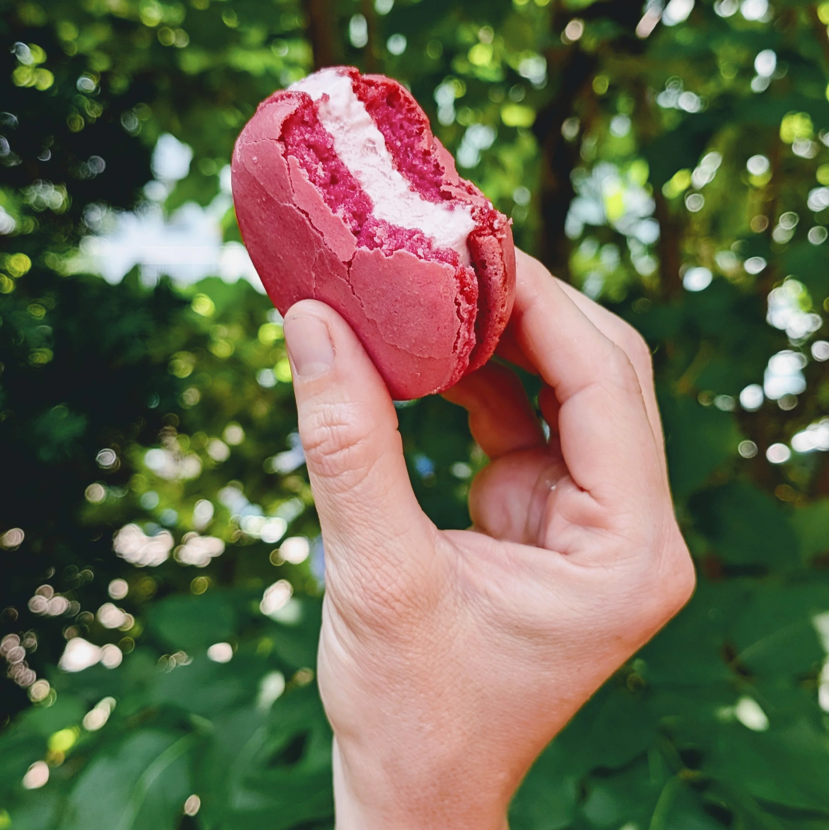 Macaron Ice Cream Sandwich • Raspberry-Lychee (2-pack) - Image 3