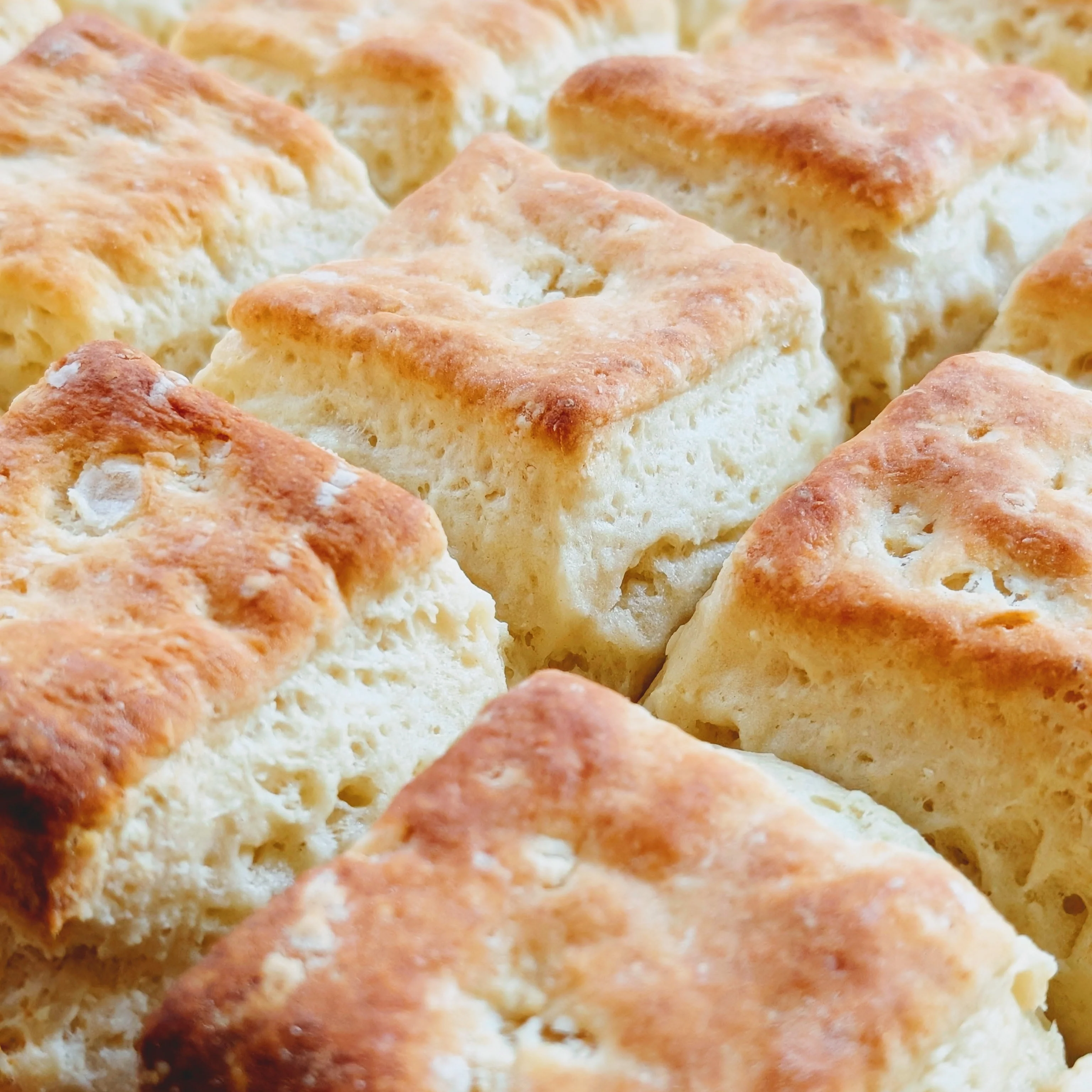 Plain Biscuits (6-pack) - Image 5